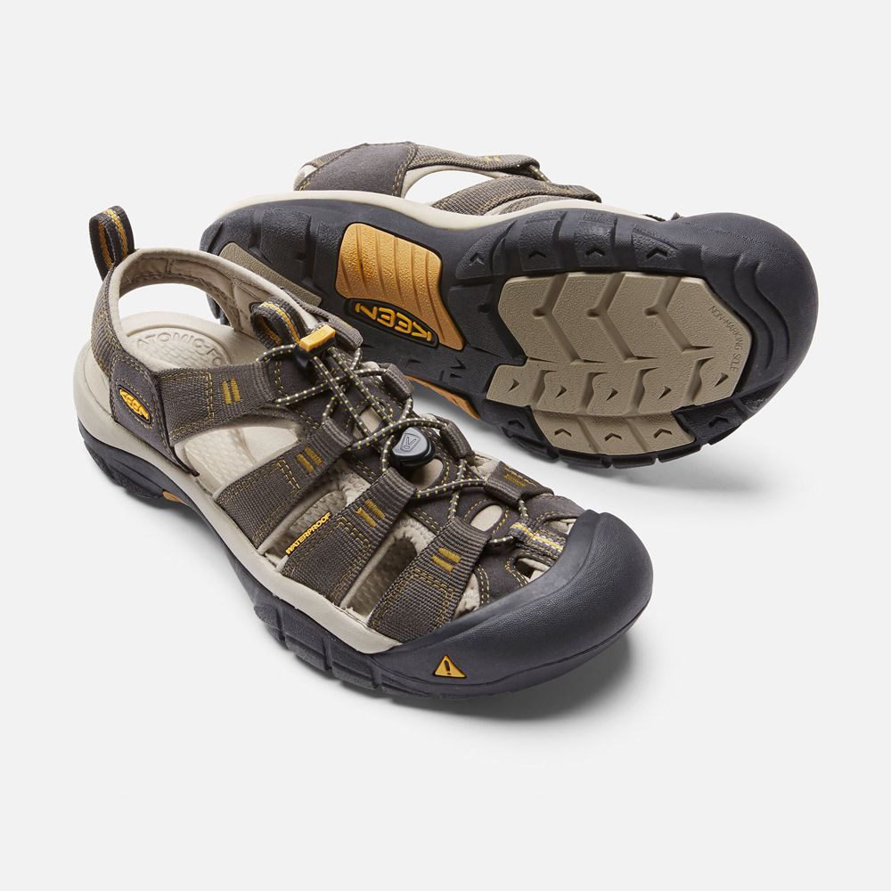 Sandales de Randonnée Keen Homme Marron | Newport H2 | BJRHU-2053